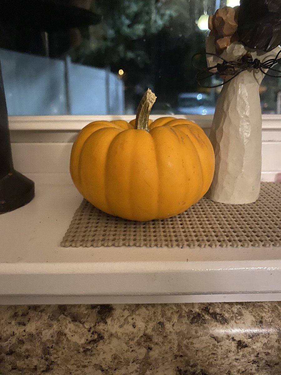 khardingteaches's tweet photo. Pumpkin 🎃 sitings being reported in our class!! #SpecialEducation #IDsevererocks! #specialneedsclass #WeAreAllStudents https://t.co/JUPM1WOxP3