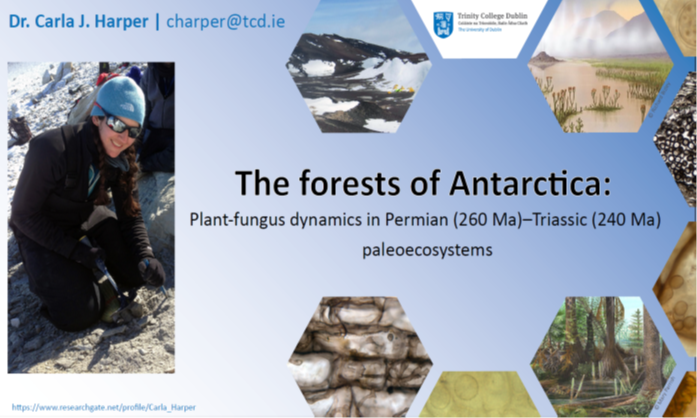 Jennifer McElwain (@jennifermcelwa3) on Twitter photo Dr Carla Harper will be giving a talk on the Forests of Antarctica this Friday 9th at 2.00pm as part of <a href="/TCD_NatSci/">School of Natural Sciences, Trinity College Dublin</a> Ecol and Evol Seminar Series. <a href="/iCRAGcentre/">iCRAG Centre</a> @TCDGeolMuseum. DM me for the link if you would like to attend online. Dr Carla Harper will be giving a talk on the Forests of Antarctica this Friday 9th at 2.00pm as part of <a href="/TCD_NatSci/">School of Natural Sciences, Trinity College Dublin</a> Ecol and Evol Seminar Series. <a href="/iCRAGcentre/">iCRAG Centre</a> @TCDGeolMuseum. DM me for the link if you would like to attend online.