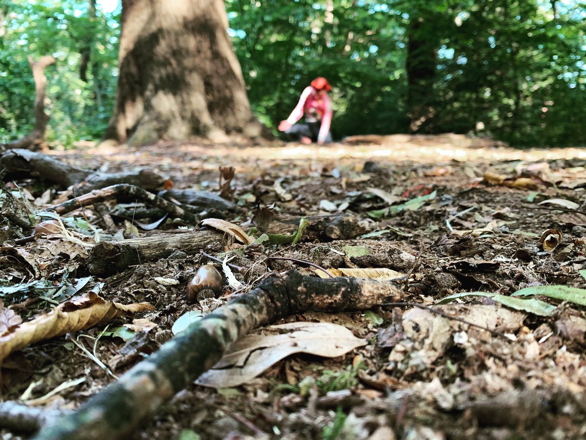 Rehearsing outside last week was so dreamy. Buzzing at the feeling of being back into a creative flow thanks to @aceagrams 🙌🏻 Stay tuned for more pics and clips of our new piece 🌳