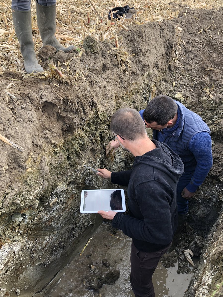 Damien SOUCHAY tweet media