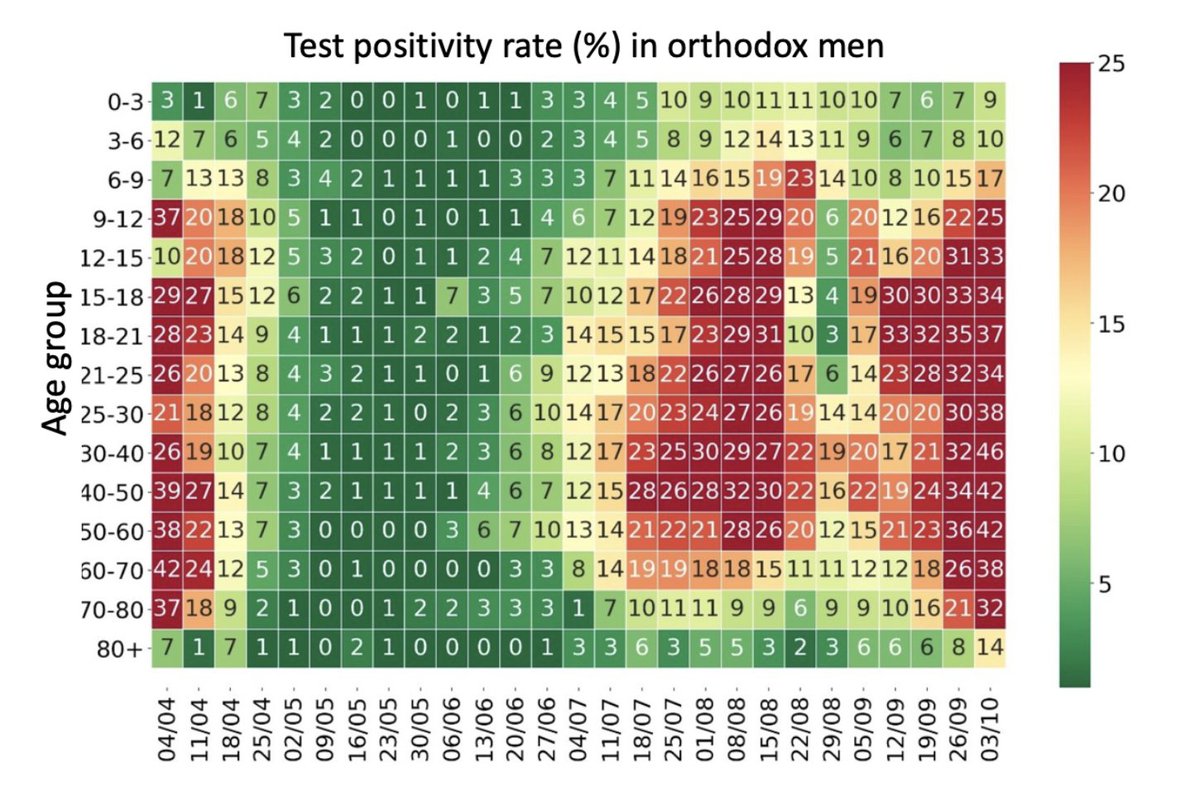 This graph of testing positivity rates in orthodox men clearly shows the spread, across time, within the orthodox population, from the young to the old