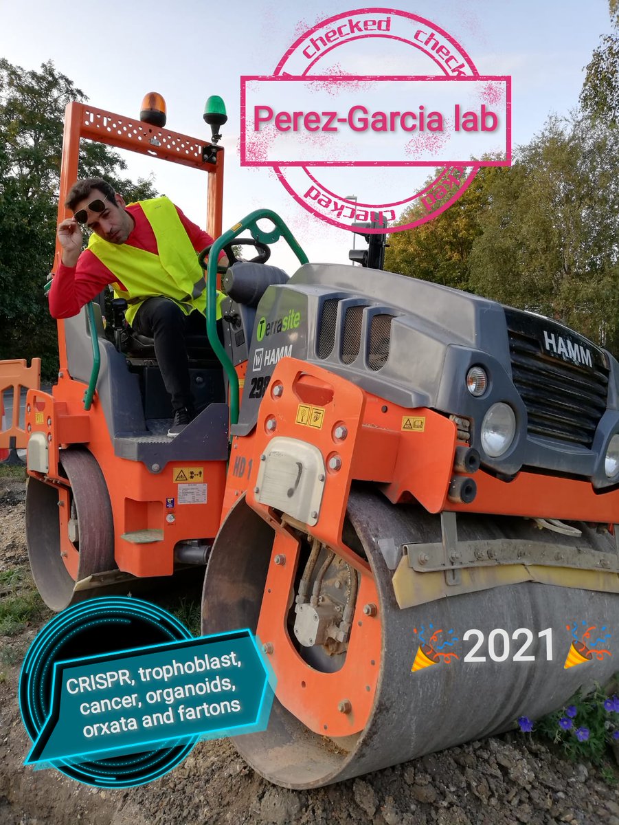 Vicen Perez-Garcia tweet media