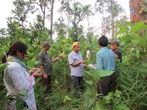 forest_training's tweet photo. Forest health study of different forest types of Nepal https://t.co/KIjiubKbWl