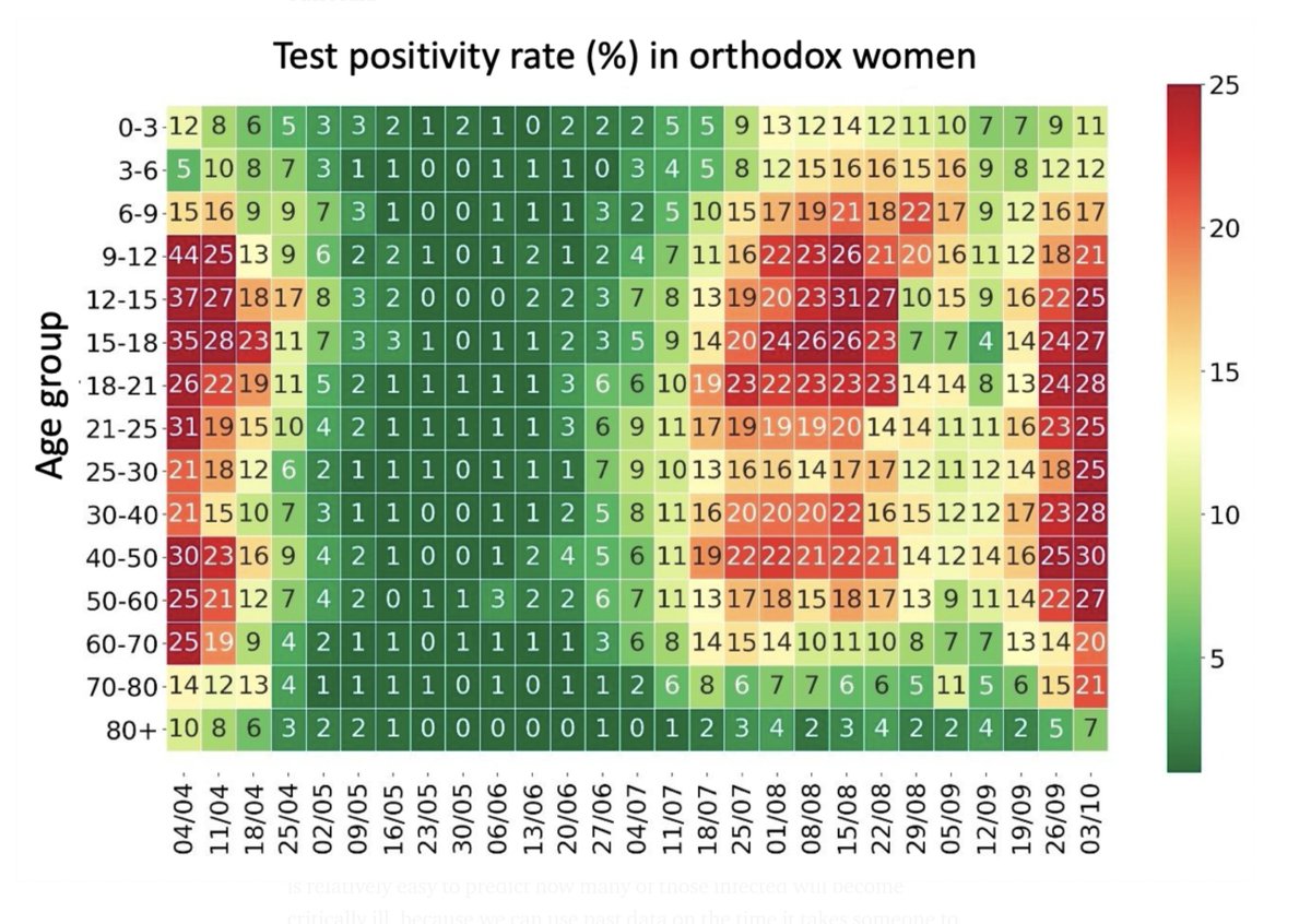 And the spread also reached orthodox women, with lower positivity rates but still very high, above 20% across most age groups