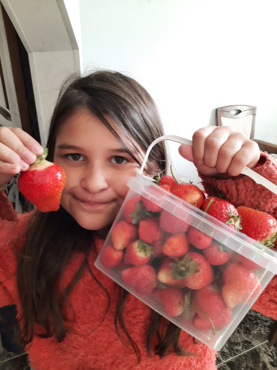 Октябрь балует... вкусняхи с нашего питомника