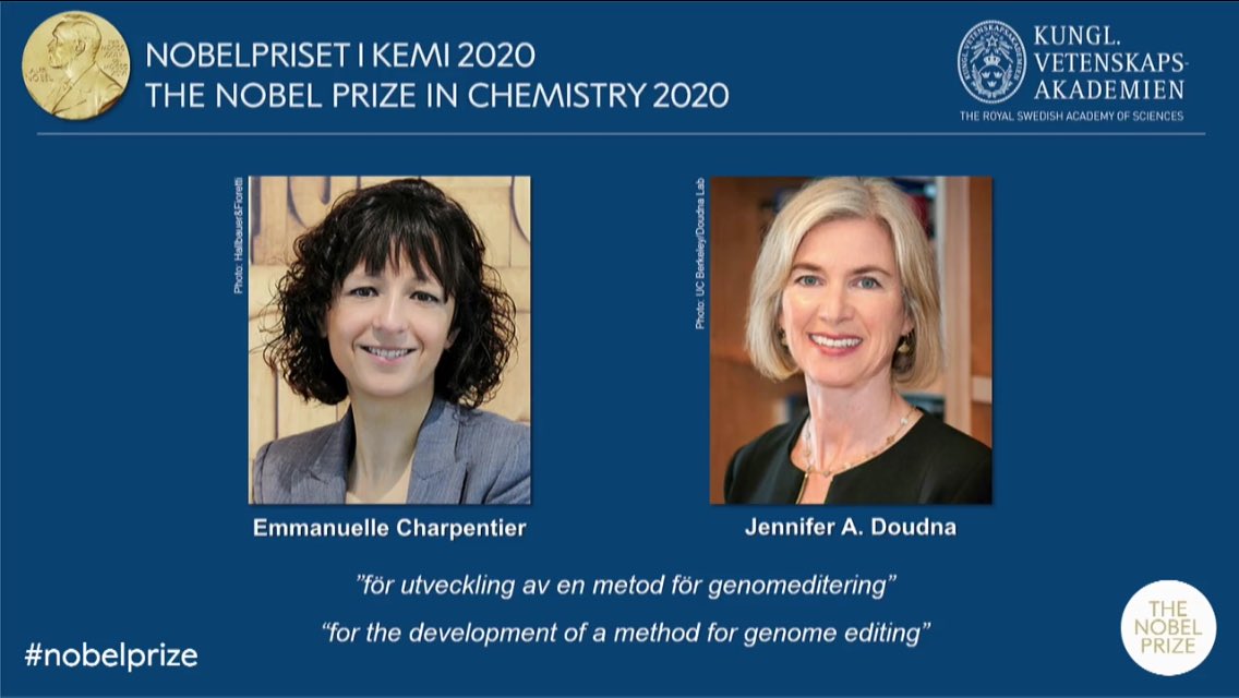 TheReaderThai's tweet photo. 2นักเคมีสตรีคว้า
#NobelPrize2020 เคมี
"เอมมานูเอล ชาร์เพนทิเยร์"ฝรั่งเศส
#EmmanuelleCharpentier
"เจนนิเฟอร์ เดานา"อเมริกัน
#JenniferDoudna
จากการร่วมกันพัฒนา
วิธีการตัดแต่งพันธุกรรม
#GenomeEditing ที่เรียกว่า
"คริสเปอร์แคสไนน์" #CRISPRCas9
มาเป็น"กรรไกรพันธุกรรม" #GeneticScissors https://t.co/uGUuMHMbse