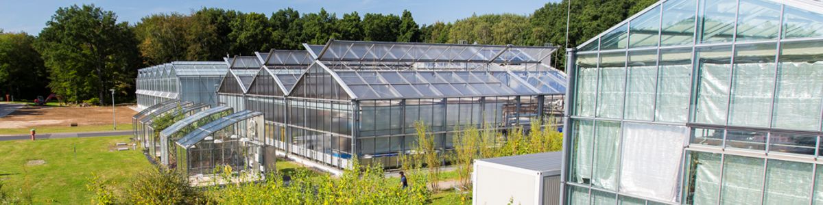 Final call: The project EPPN2020 provides researchers access to 31 facilities across Europe to carry out plant phenotyping experiments. You can apply to the project's last call by 26 October here 👉 eppn2020.plant-phenotyping.eu/Access_Call