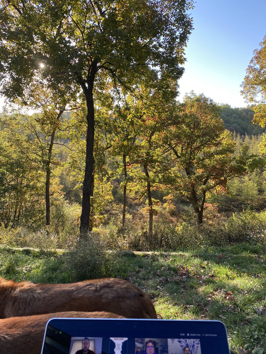 Wow and Thrill are continuing to be a part of staff meetings.