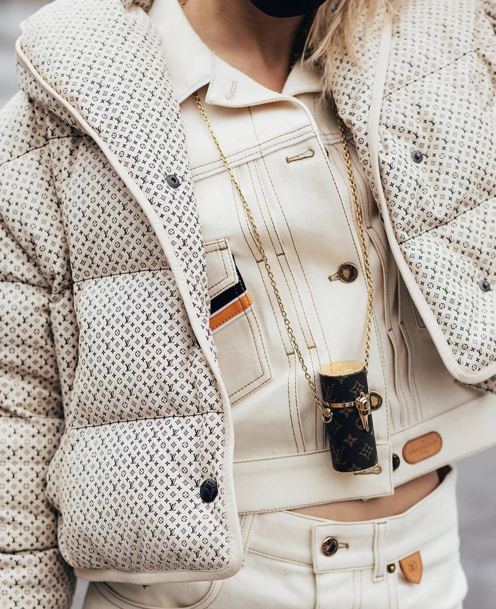 Louis Vuitton Micro Monogram Embossed Leather Down Jacket