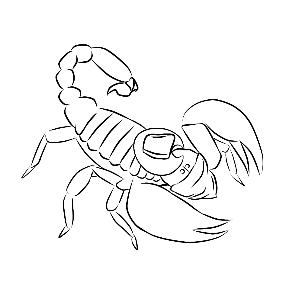 CherryBun6's tweet photo. 030 art

#art #digitalart #scorpions https://t.co/4pY83n1cTI