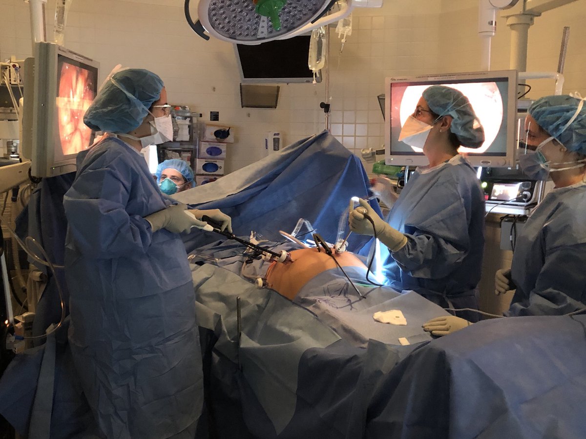 Chief resident Ellen Caparosa and attending surgeon Renee Tholey working together today. Both 35+ weeks pregnant. THIS is women in surgery! ⁦@JEFFsurgery⁩ ⁦@CharlesJYeoMD⁩ #ILookLikeASurgeon