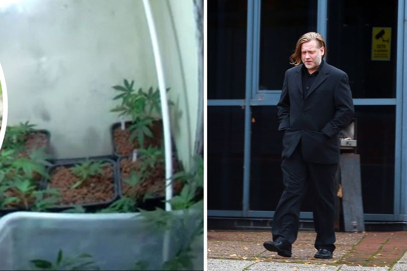 CLEARdrugpolicy's tweet image. Prosecutors accept Gateshead #cannabis farmer's 200 plant crop was for personal use. Medicinal mitigation accepted. Receives 12 month community order. #drugspolicy #EndOurPain chroniclelive.co.uk/news/north-eas…