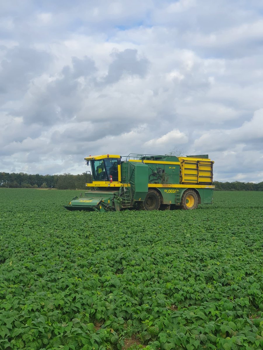 peamanruss's tweet photo. The last field of #dwarfbeans for 2020 has now been started just 26.26ha remain between us and the end of #harvest2020 https://t.co/Hi3VEVe1Ql