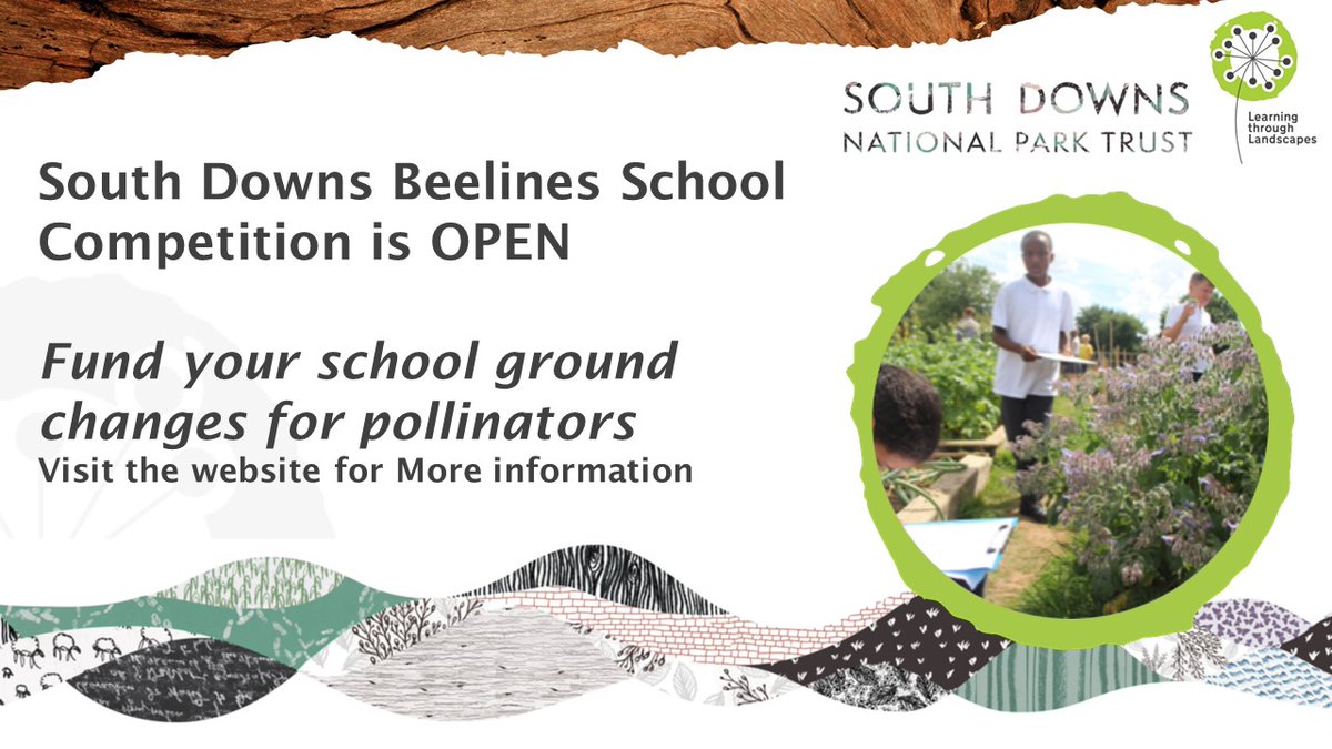 LtL_News's tweet photo. @sdnpa  and @LtL_News  are levering money into school grounds to make changes for Pollinators @SussexWildlife  @stem4sussex @HantsIWWildlife  @Love_plants  @XpolliProject 

https://t.co/T19lkIgdMu 

#LtLtraining #outdoorlearning https://t.co/v8Kojoi803
