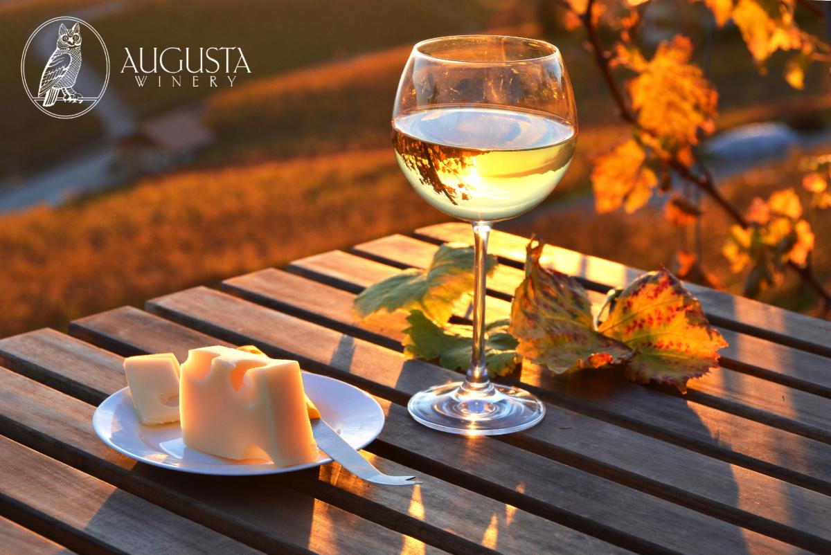 New Wine Release! Stop in to try and buy the 2019 Dry Muscat! Pairs perfectly with apple picking, pumpkin carving, and bonfires. A full flavored, refreshing white wine for all occasions! conta.cc/2Gz9MbL