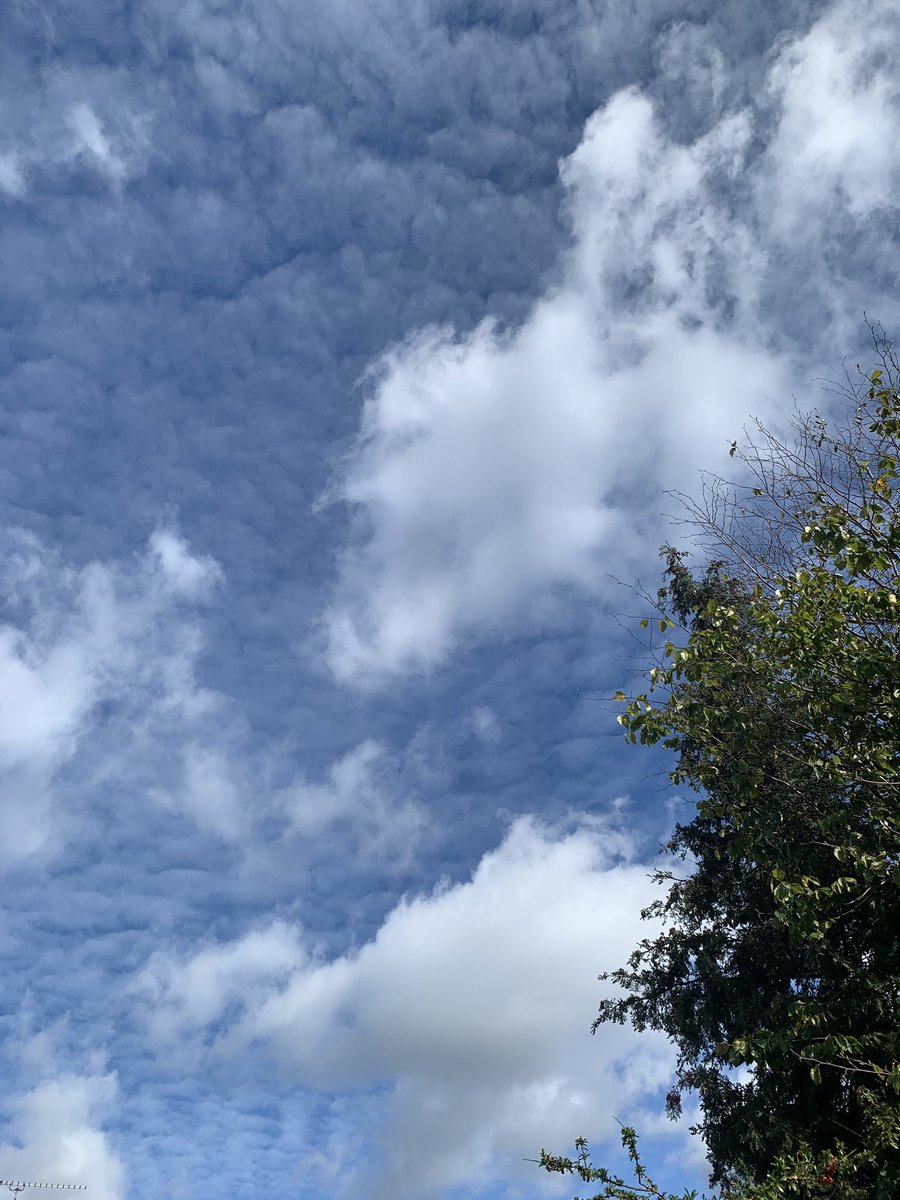 LynnParsonsUK's tweet photo. Come on in & Find Your Calm @magicfm #MellowMagic 4 Hours of Dreamy laid back Songs plus Your Whispers & Windows to get in touch text 61054 starting your message with the word Magic tweet @LynnParsonsUK 🎧or email lynn@magic.co.uk 🌟🌟#WednesdaySky https://t.co/qbAZsUYUuu