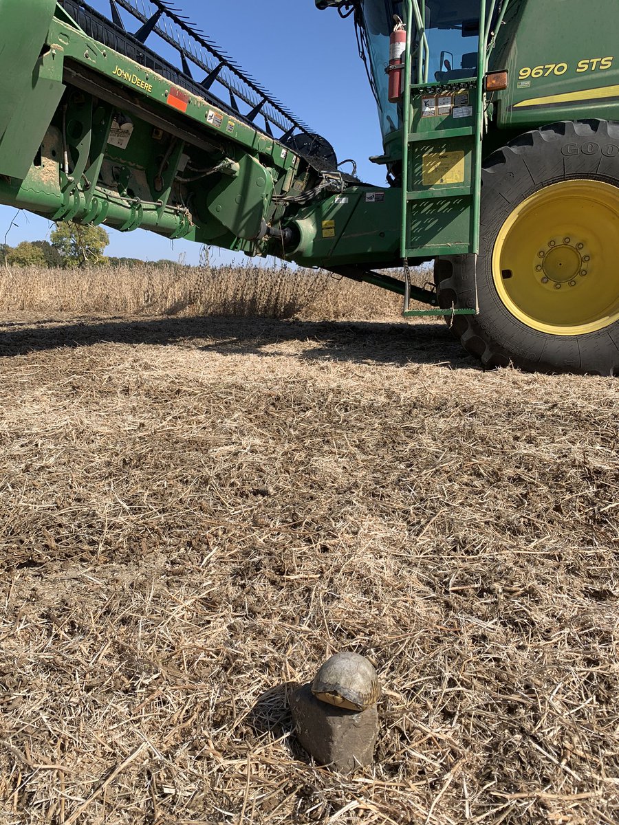 rrincker's tweet photo. Dumped the rock trap and found a turtle in it!! #turtletrap https://t.co/1QYI712nPV