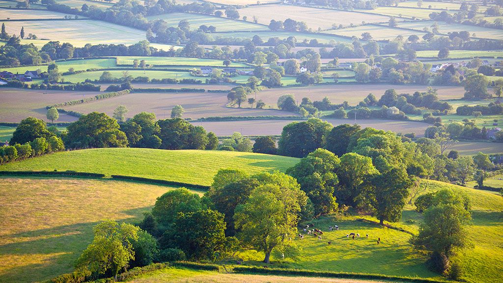 FarmersGuardian's tweet photo. The Government has opened a £25 million grant scheme to help farmers boost their productivity >> Find out more
https://t.co/KXHFBIF432
#GrantChecker #FarmLife #Productivity https://t.co/JF427lMCPW