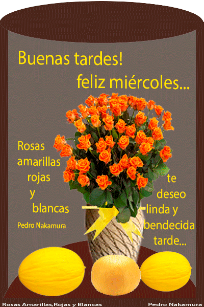 Raúl Frias on Twitter: "@Aurora88793729 Feliz tarde Aurora y feliz Miércoles  https://t.co/3pHg6Q699D" / Twitter