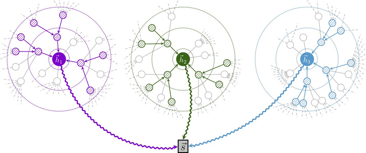 Petar Veličković tweet media