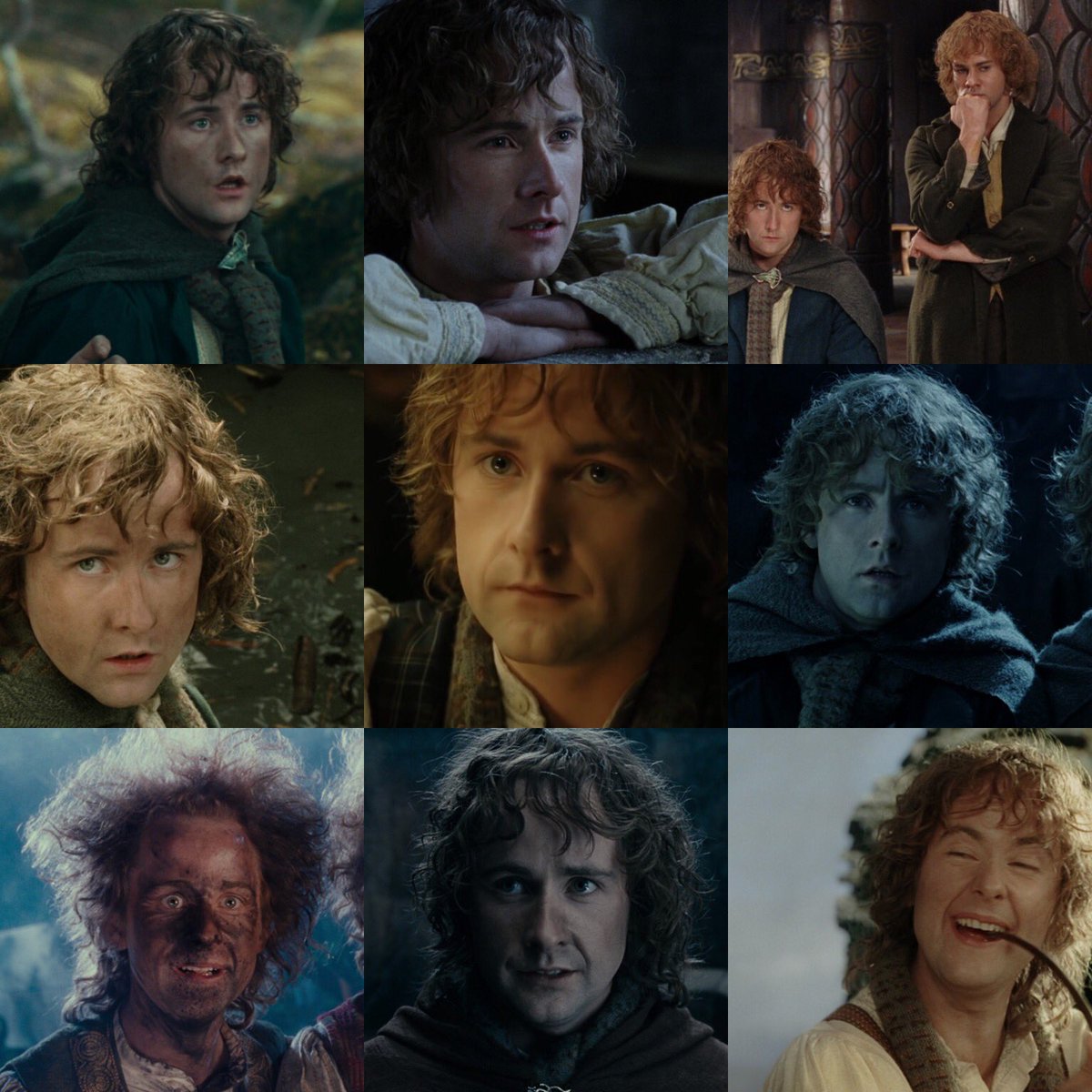 Peregrin Took, loyal companion of Frodo and member of the Fellowship