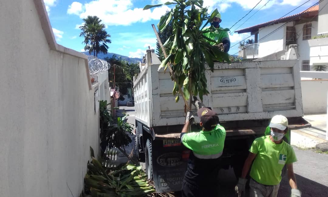 fospuca's tweet image. Operativo de recolección de desechos vegetales en la calle Verdín entre la 9na. y 10ma. transversal de los Palos Grandes, municipio #Chacao. El mantenimiento de nuestras calles no pasa por casualidad: Hace falta que antes pasen los camiones de #Fospuca