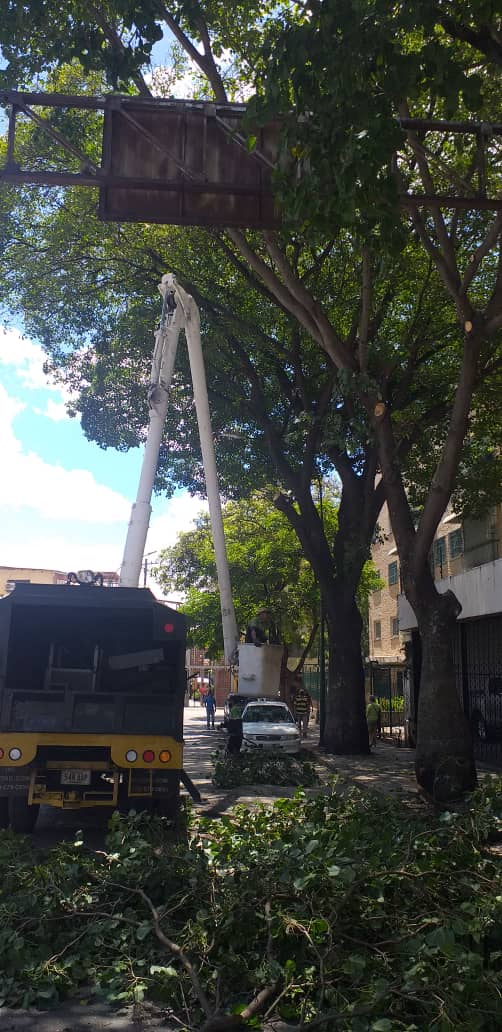 fospuca's tweet image. Operativo de recolección de desechos vegetales en la calle Verdín entre la 9na. y 10ma. transversal de los Palos Grandes, municipio #Chacao. El mantenimiento de nuestras calles no pasa por casualidad: Hace falta que antes pasen los camiones de #Fospuca