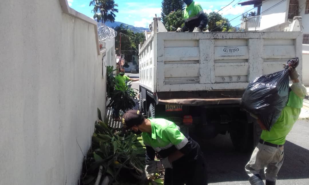 fospuca's tweet image. Operativo de recolección de desechos vegetales en la calle Verdín entre la 9na. y 10ma. transversal de los Palos Grandes, municipio #Chacao. El mantenimiento de nuestras calles no pasa por casualidad: Hace falta que antes pasen los camiones de #Fospuca