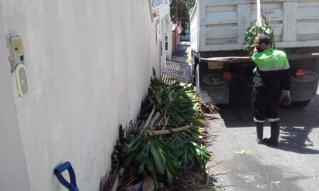 fospuca's tweet image. Operativo de recolección de desechos vegetales en la calle Verdín entre la 9na. y 10ma. transversal de los Palos Grandes, municipio #Chacao. El mantenimiento de nuestras calles no pasa por casualidad: Hace falta que antes pasen los camiones de #Fospuca
