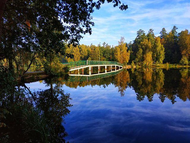 Пруд лосиный остров. Алексеевский пруд Балашиха. Алексеевский Булганинский пруд. Алексеевский пруд в Лосином острове. Булганинское озеро Балашиха.