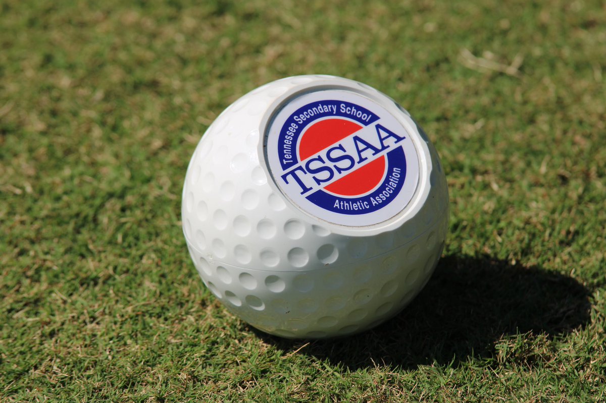 ByNoahTaylor's tweet photo. CCHS boys golfer David Bates ties for 32nd out of 64 players at final day of 2020 TSSAA Large Class State Golf Tournament.

Bates shot a 77 on Tuesday and a 79 today for a total score of 156. @lafollettepress @mjcain34 https://t.co/WRJDqESe1Z