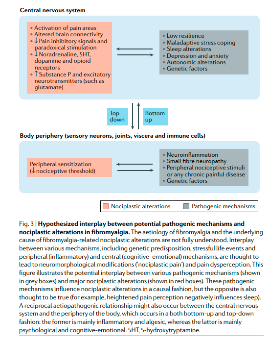 PhysioMeScience's tweet image. Fibromyalgia: an update on clinical characteristics, aetiopathogenesis and treatment 

👀👀👇👇

pubmed.ncbi.nlm.nih.gov/33024295/