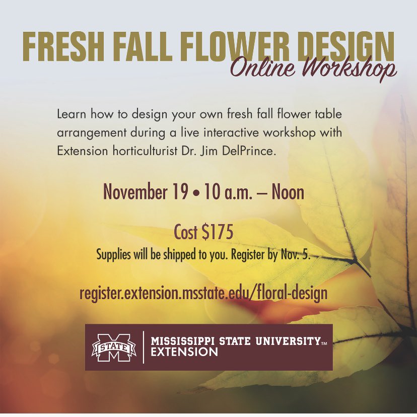 ClayCo_Ext's tweet photo. Great opportunity to learn from home and create a new arrangement! Register today! https://t.co/tlCEAh6mcy