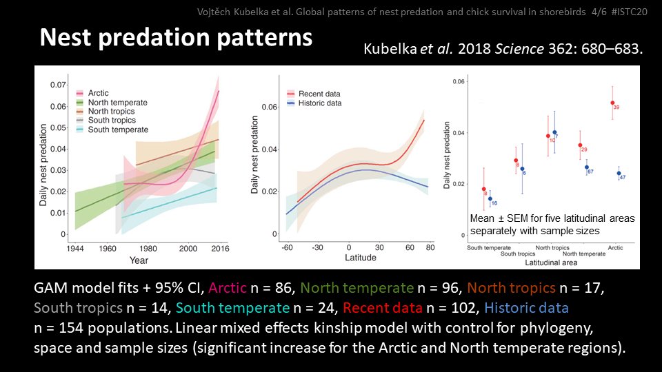 4 #ISTC20 #Sesh3
The increase in nest predation is obvious mostly in the North temperate and the Arctic regions changing the global historical latitudinal gradient in nest predation.
#ornithology #shorebirds #waders