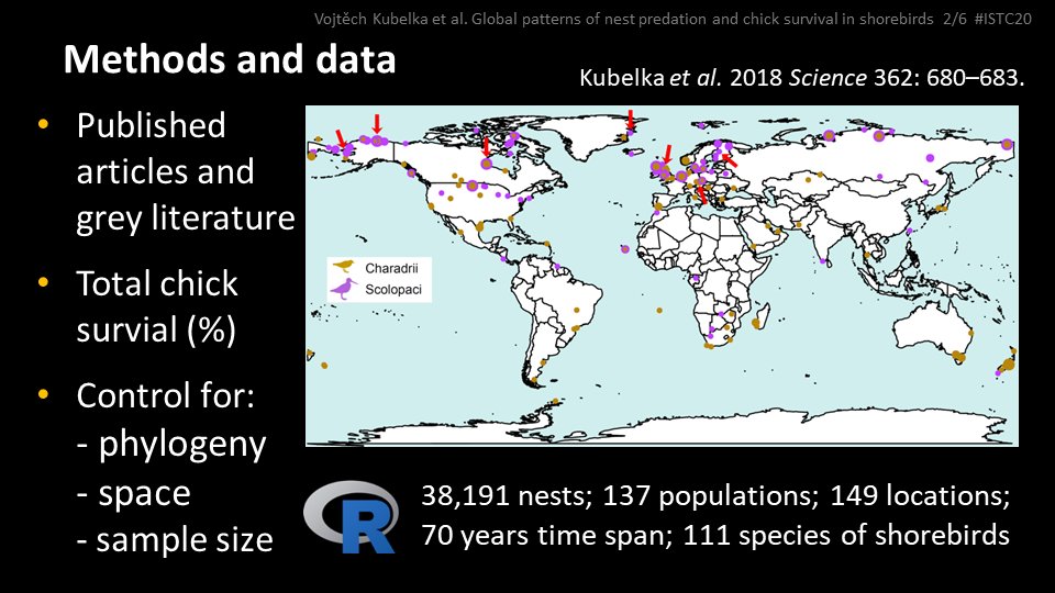2 #ISTC20 #Sesh3
Prompted by local changes in breeding productivity of shorebirds, we extracted nest predation and chick survival rates across the globe and deployed generalized linear models controlling for phylogeny, spatial autocorrelation and sample sizes at the same time.