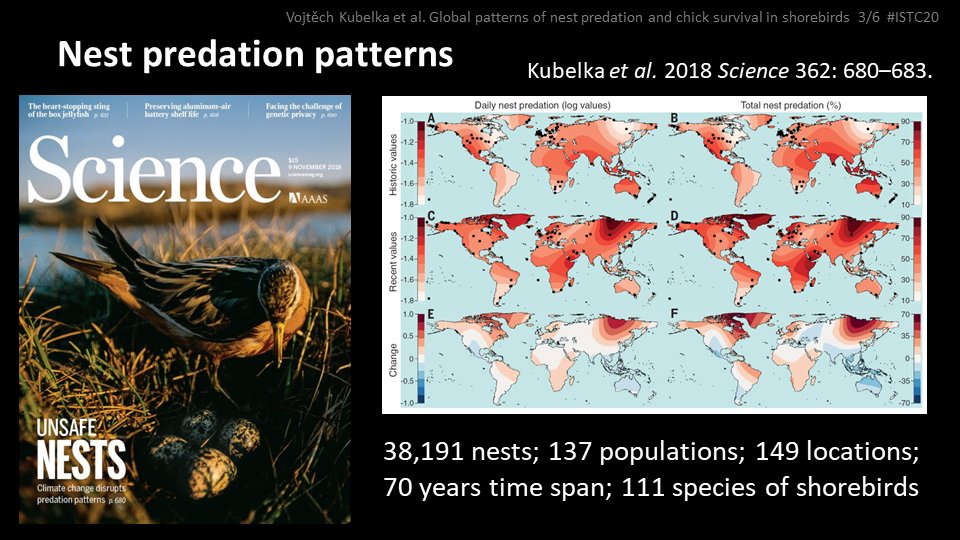 3 #ISTC20 #Sesh3
We have drawn attention to deteriorating nesting success of shorebirds (science.sciencemag.org/content/362/64…).
Note that map extrapolation is impacted by the uneven geographic distribution of study locations.
#ornithology #shorebirds #waders
