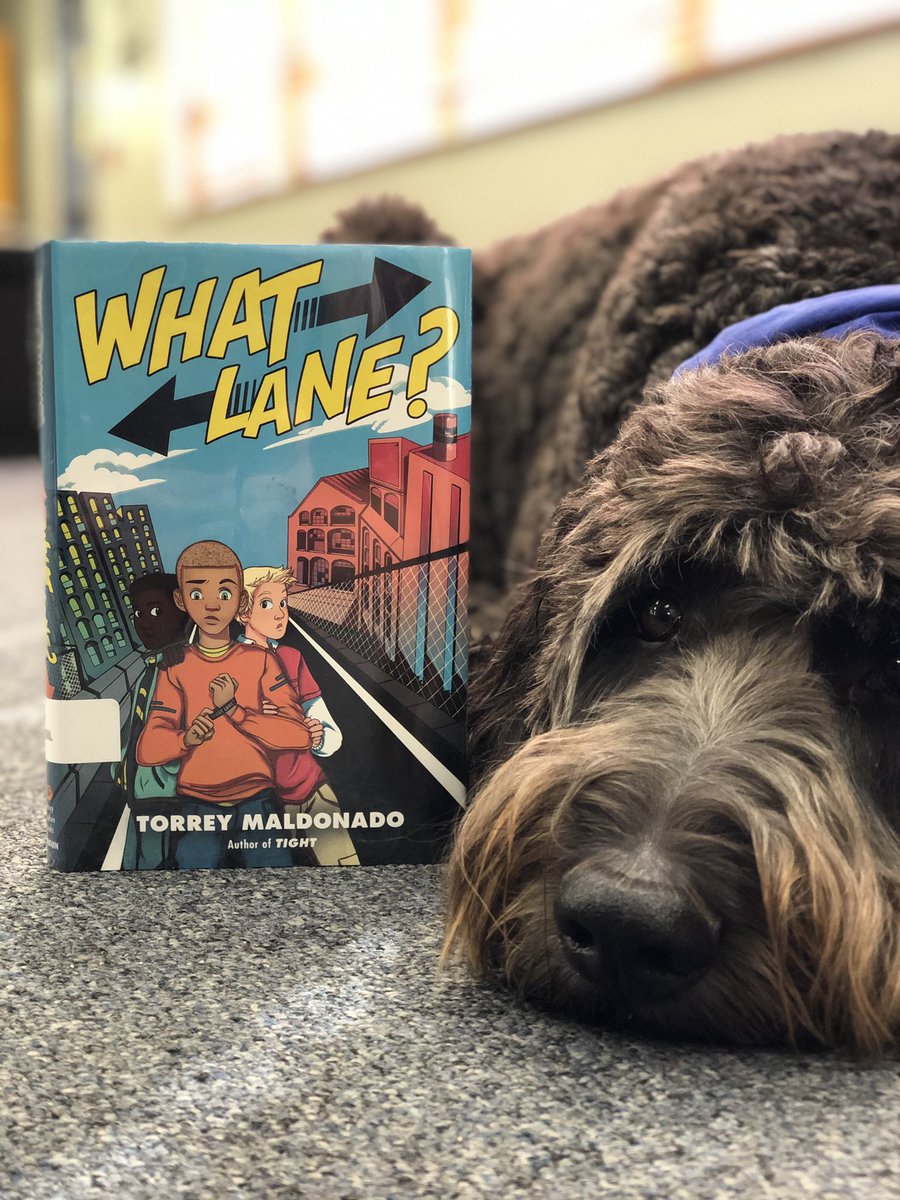 New Books on the shelves today! What Lane by @torreymaldonado is an awesome read about Stephen and the tough choices he has to make growing up in Brooklyn. This one is going to go quickly, so come check it out! #440Proud #SirBearReads #whatlane