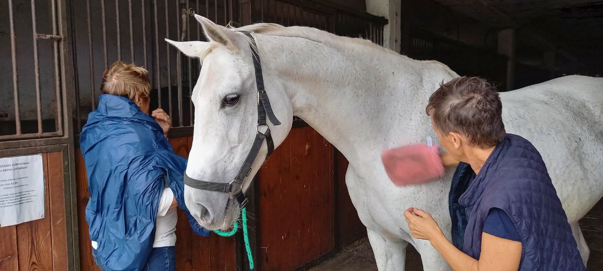 Raypath_Garmany's tweet image. 