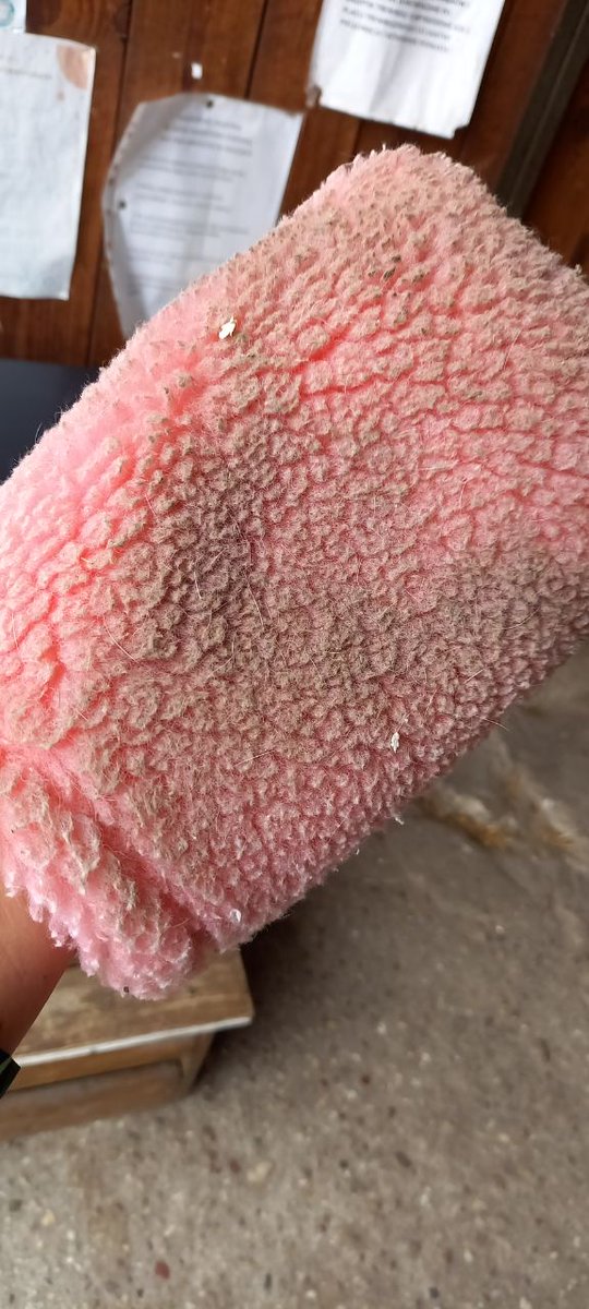 Raypath_Garmany's tweet image. 