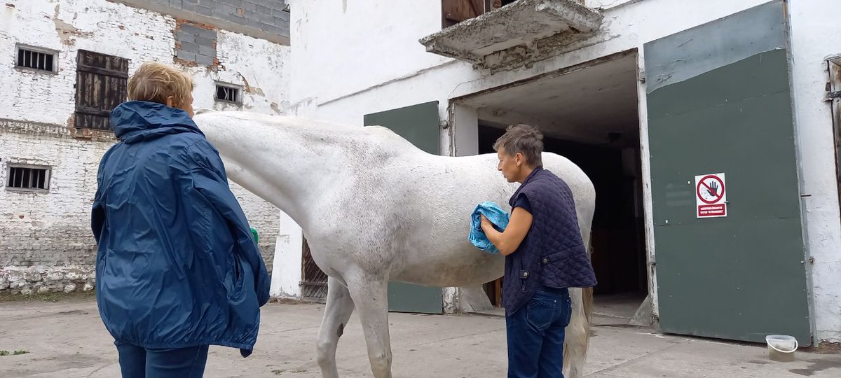 Raypath_Garmany's tweet image. 