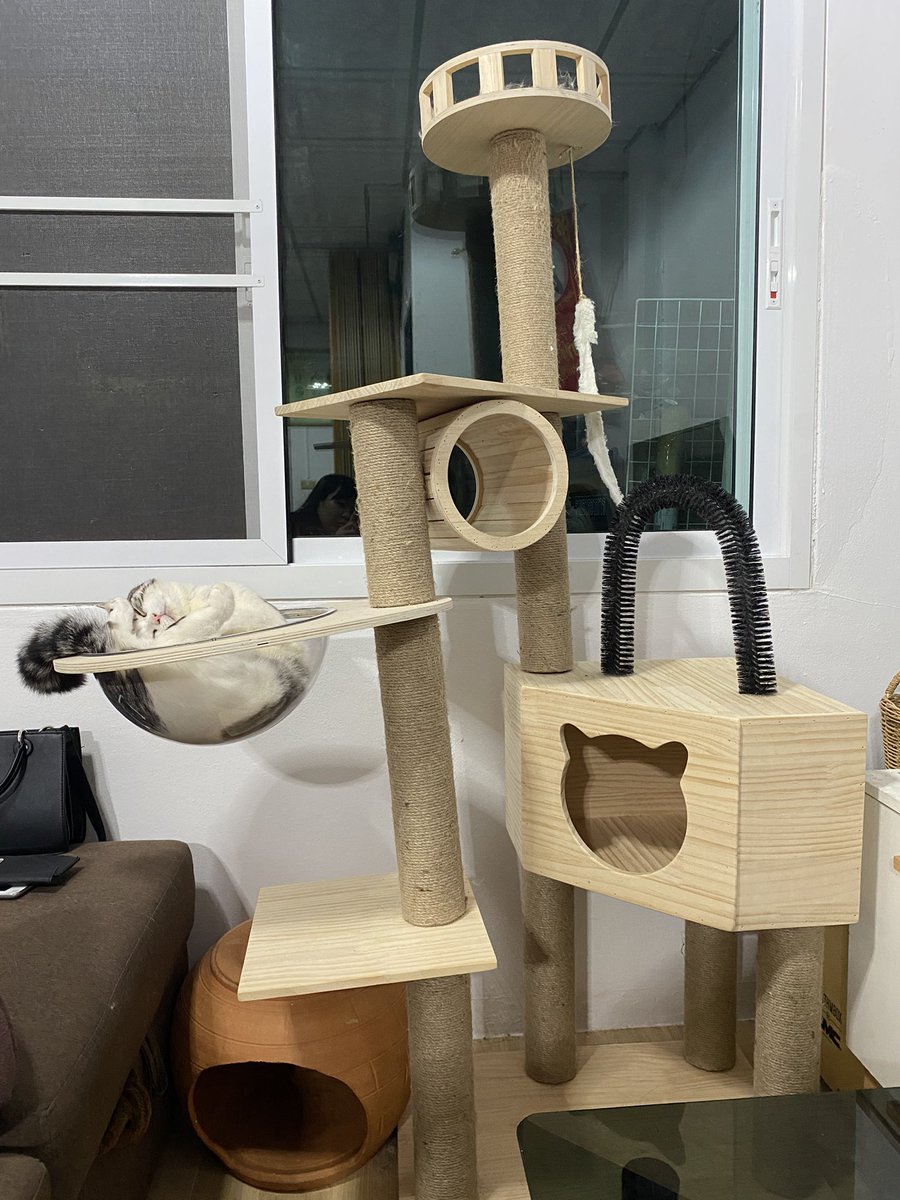 คอนโดมังเอียงๆนะ ไม่ได้คิดไปเองใช่มั้ย!?.....