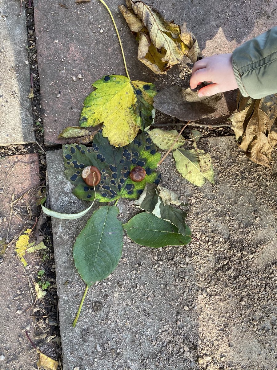 BeardallFrith's tweet photo. ⁦@Haddon_Primary⁩ 🍃🍁🍂 We searched high &amp; low for leaf man. We are sure the wind blew him over Haddon. We think we heard him clap our art work https://t.co/tIty9uCT7u