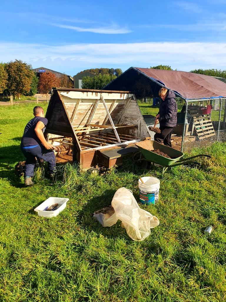StonyDean's tweet photo. What a beautiful morning for our team doing some work experience at MARES COMMUNITY CARE FARM #handsonfarming #supportinthecommunity #newskills #independence https://t.co/lbfi3ggFeP