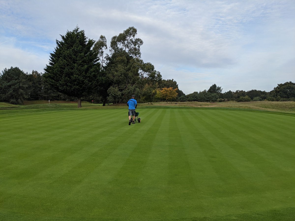 SMGCgreens's tweet photo. Hand mow and feed for the greens today.#greenkeeping #lookingsharp #wednesdaymorning #granular #kstep https://t.co/dviHjbN1V8