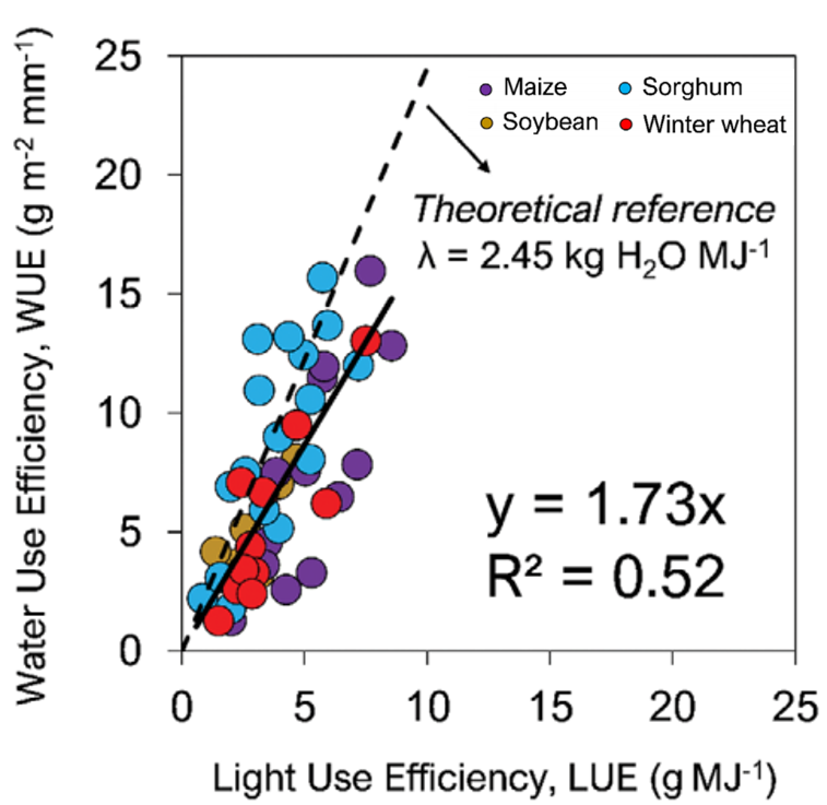 agrohydrology's tweet photo. This manuscript presents the first evidence of quantitative relationships among light use and water use processes in maize, soybean, sorghum, and winter wheat, unknown currently at canopy scales. https://t.co/FgAKZ5Yvpw