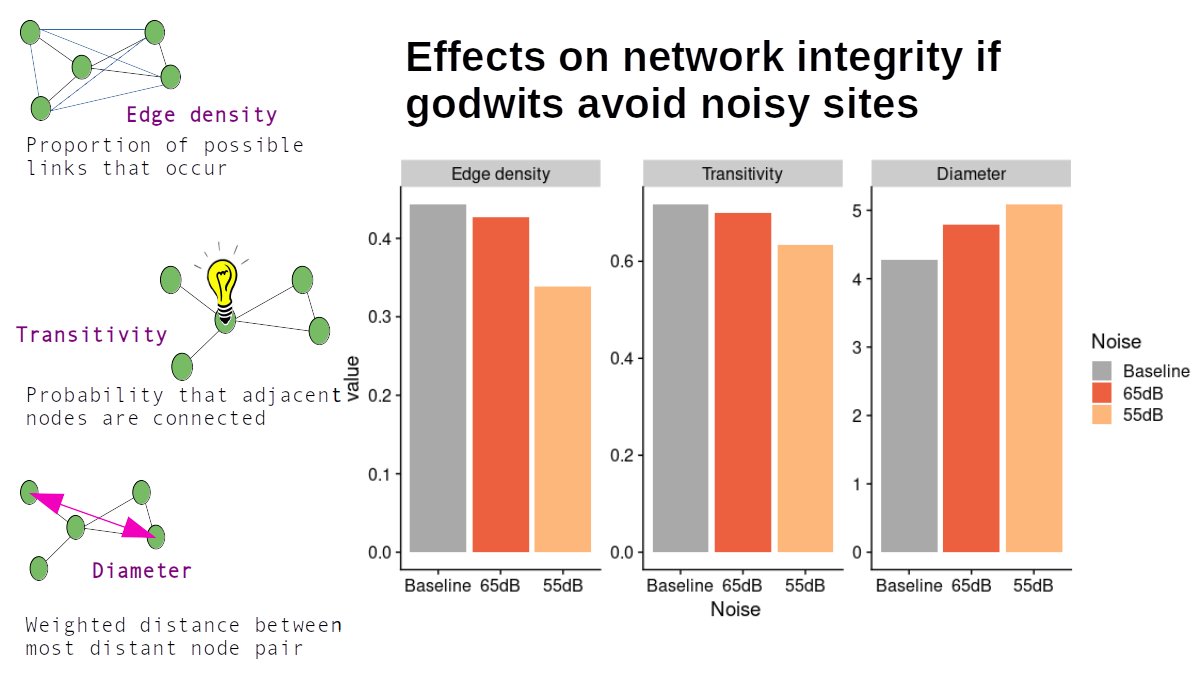 5/6 #ISTC20 #Sesh6 
The Tagus sites most affected by aircraft noise are those most important to network.

If birds avoid them, netwk has fewer links between sites & higher cost of movemt across netwk. This may impact population's ability to respond to changing envmtl conditions.