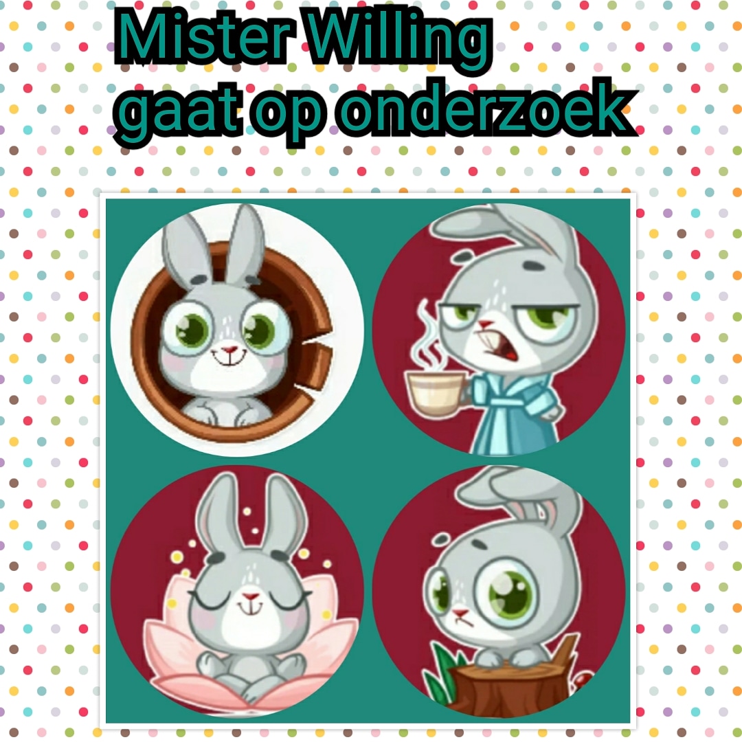 Sandra Ringoot tweet media