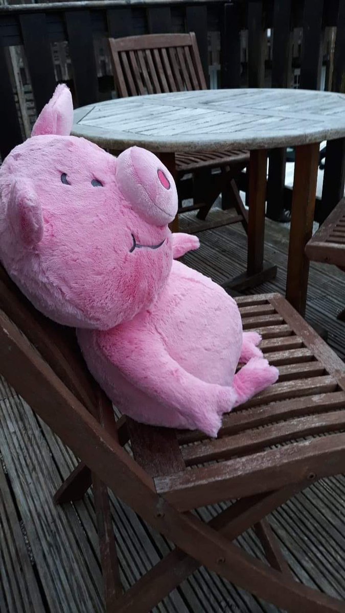 saaaville's tweet photo. My dad is on his first holiday alone since before he met my mum and he’s got himself a Percy pig friend to keep him company 😂 The man is a big softie at heart https://t.co/JUTOjvmiNC