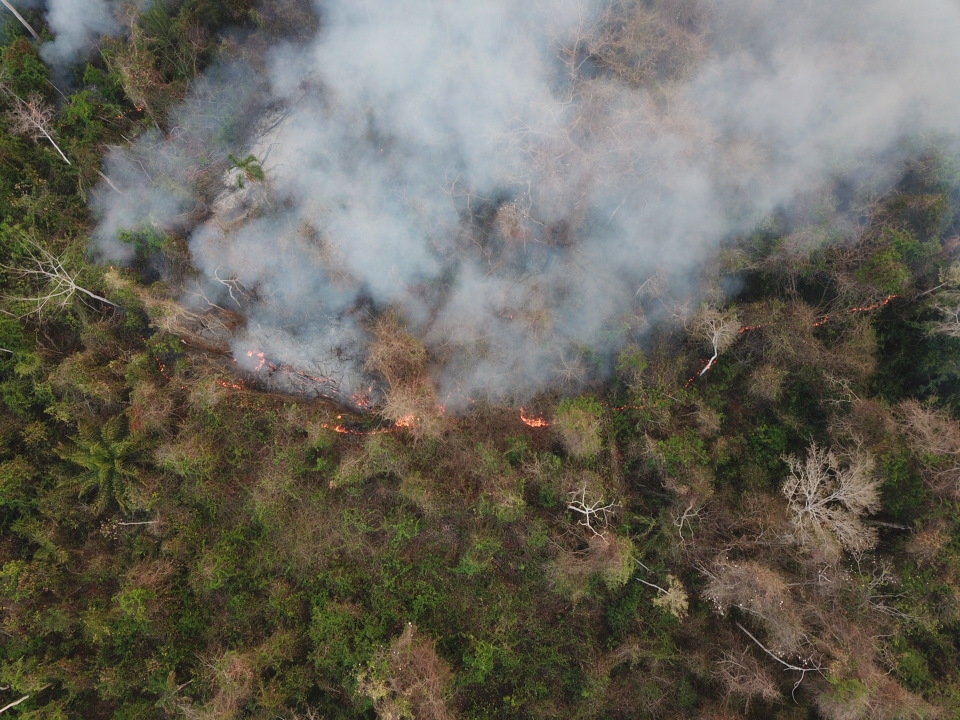  #Fires  #Ecocide  #ForestFires In 2019  #Bolivia lost over 6 million hectares to uncontrolled fires. Over 2 million animals and the lives of 6 firefighters were lost. In 2020, fires consumed over 2 million hectares alreadyWe Bolivians demanded changes to prevent this. Thread