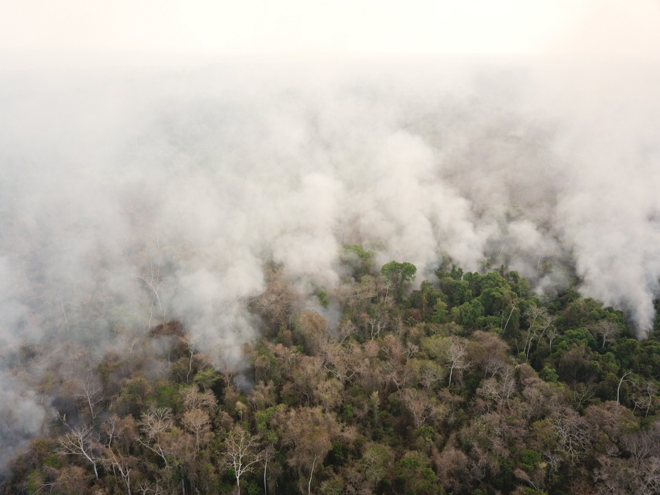  #Fires  #Ecocide  #ForestFires In 2019  #Bolivia lost over 6 million hectares to uncontrolled fires. Over 2 million animals and the lives of 6 firefighters were lost. In 2020, fires consumed over 2 million hectares alreadyWe Bolivians demanded changes to prevent this. Thread